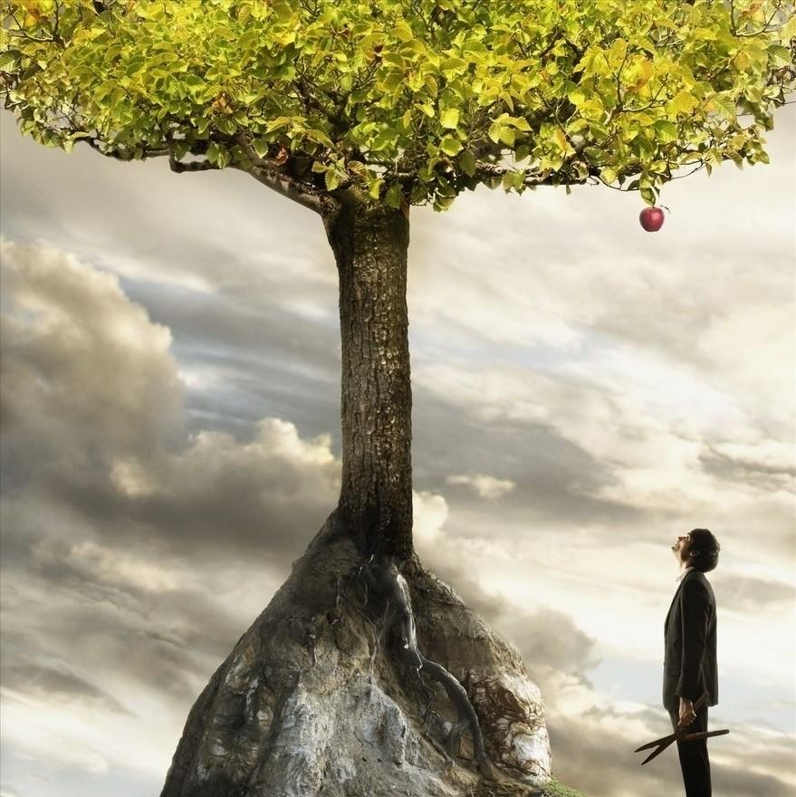 孥孥的大树: 猥琐发育,别浪! 先讲一下租售同权