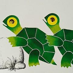 S-tortoise