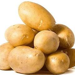 ST土豆