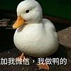 赛艇队长