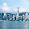 rich郑涨不停