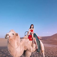 我爱骑骆驼