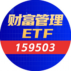 财富管理ETF_159503