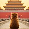 William_机械师