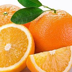 我爱橙子我爱橙子