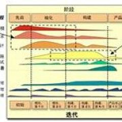 绝对空杯