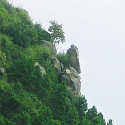 用户头像