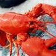 Lobster_HK