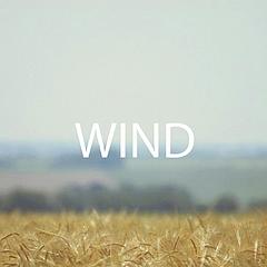S-Wind