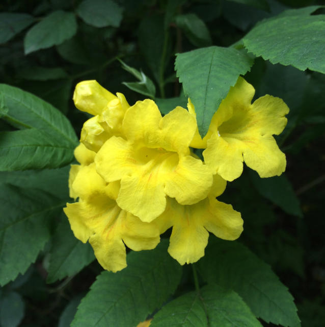 么有魅力?好公司为什么还要好价格? 为分析方