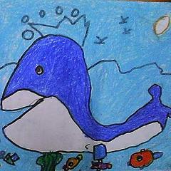 蓝色海豚湾