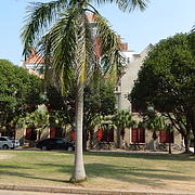 永远学习的排骨朱