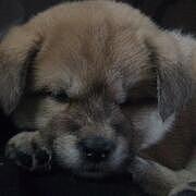 Mrick éªç éªç