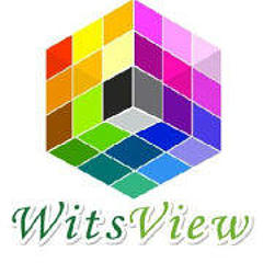 WitsView睿智显示