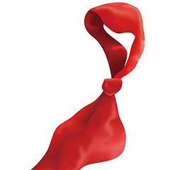 红领巾Y