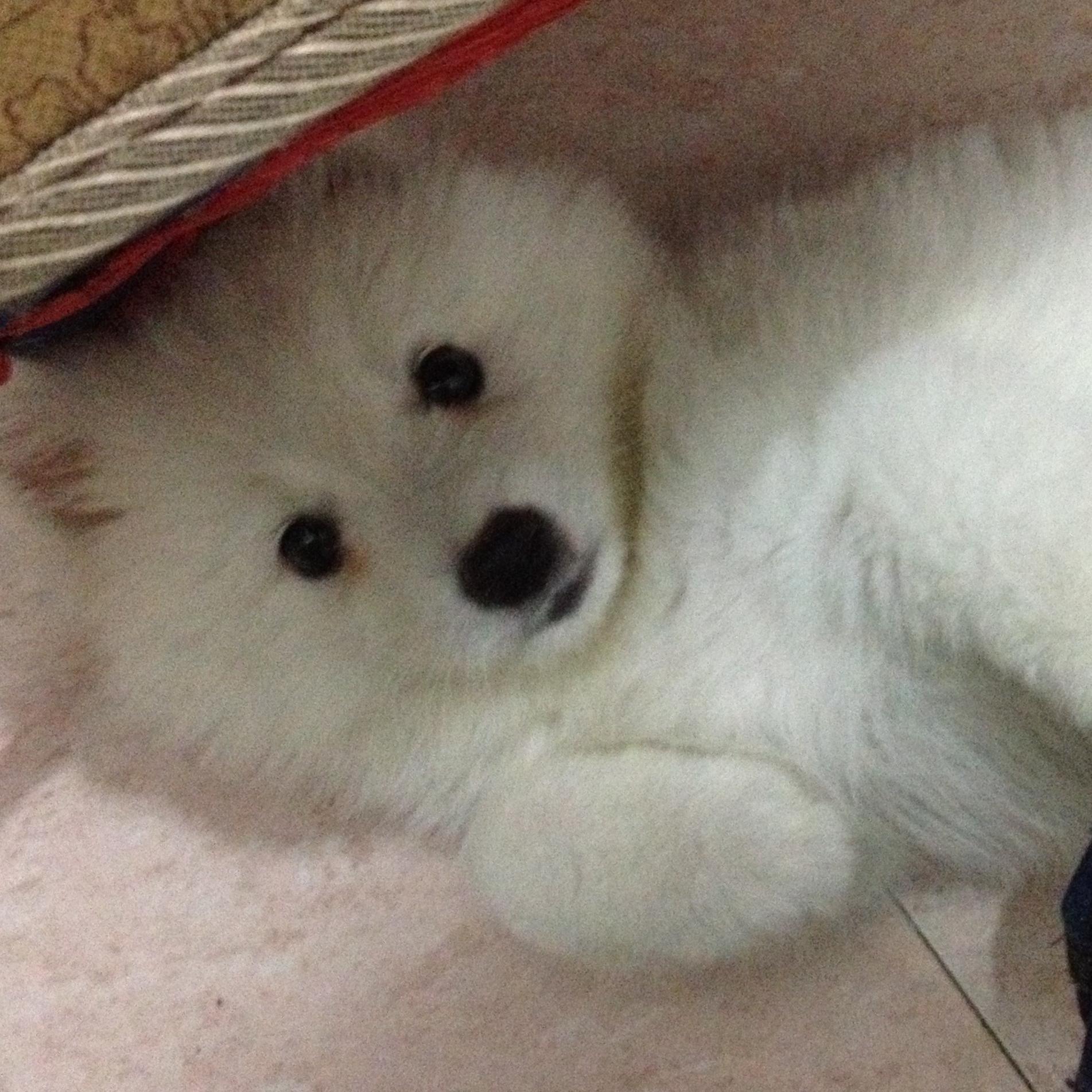 安全睡大觉: 永辉超市分析 永辉超市半年报分析