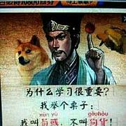 用户头像