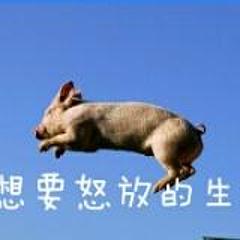 猪猪任风吹