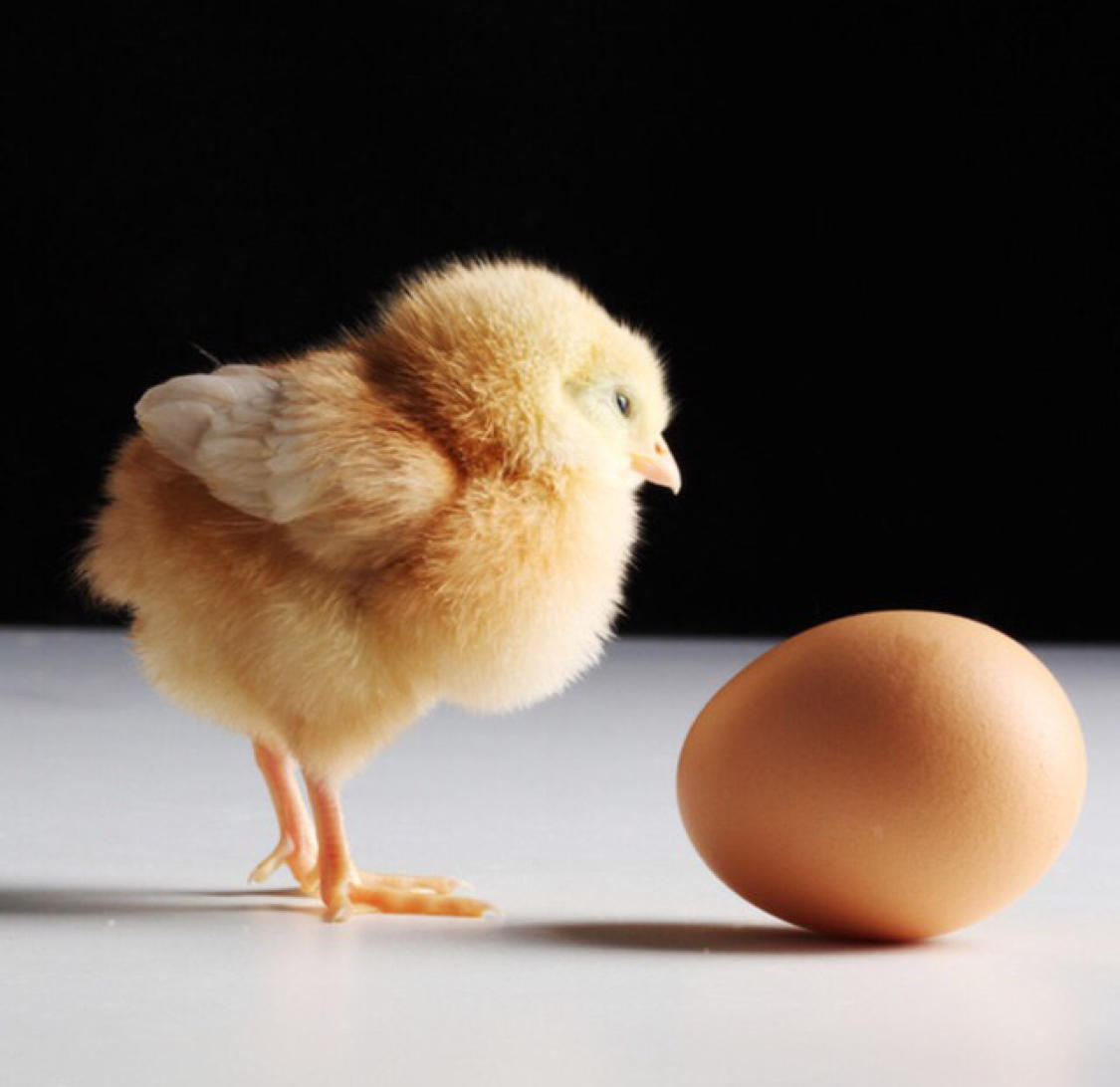 小5论基: 股市大跌之后可以抄底了么? 2018年