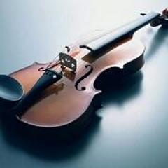 violin77