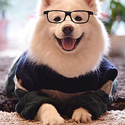 荒野老丛吉吉国王