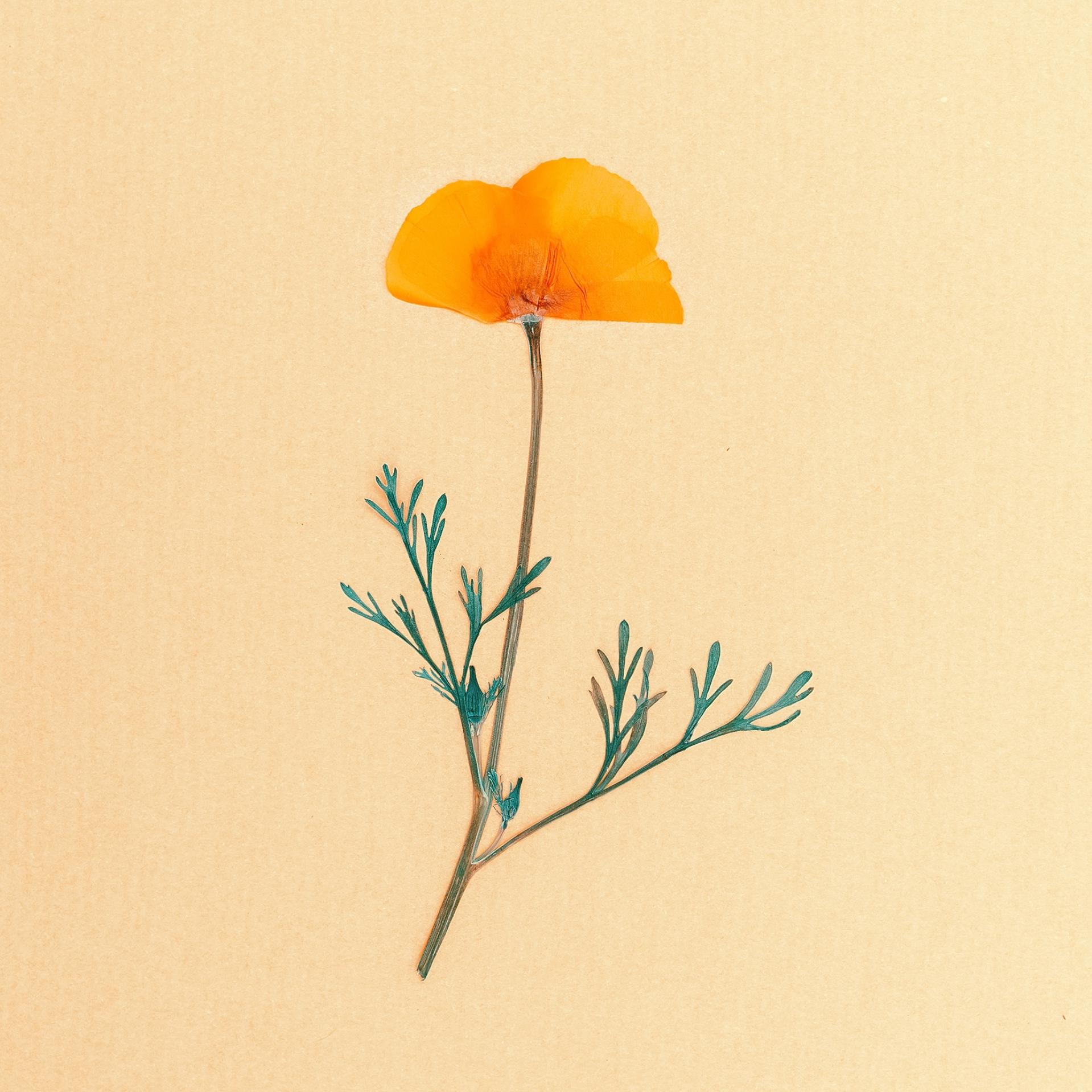 熊猫宝贝ii: 基金微课堂,什么是基金定投? 基金