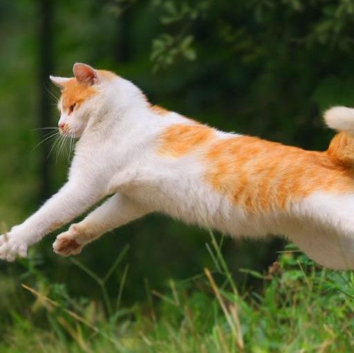 ZXLLY: A股历年事件及走势 1990年12月19日,