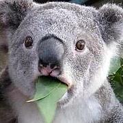 一脸懵懂的表情