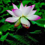 空即是多即是空