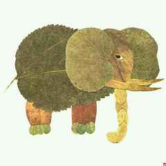 大象已无形