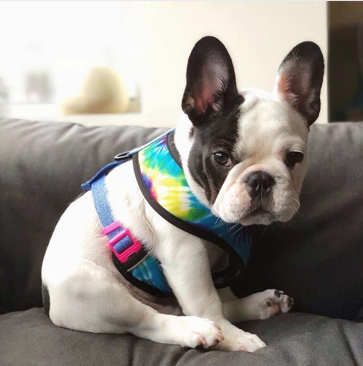 知识混子76: 2018年第十三篇 谈谈行业--旅游服