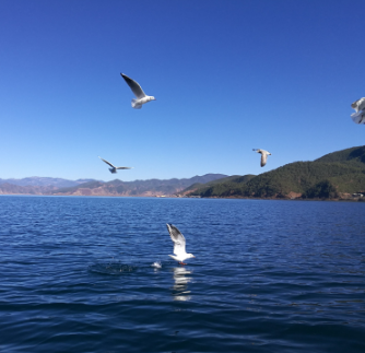 尽享快乐: 科创板对股市影响及应对 昨天下午段