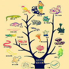 进化树
