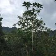 意义不在失去与得到