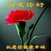 用户头像