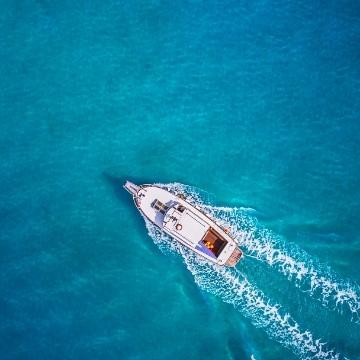 记) 第一节 概述 免疫应答是指机体受抗原性异