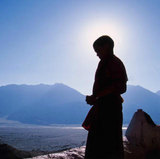 给孤独流: 我愿持长期持有的二只股票 $佛慈制