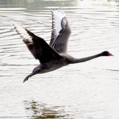 私募小黑: 美国制裁伊朗对中国原油供应的影响