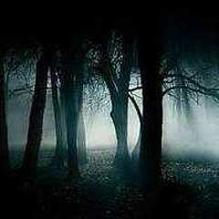 面壁黑暗森林