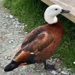 雪球 聪明的投资者都在这里