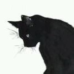 黑猫白猫黑猫