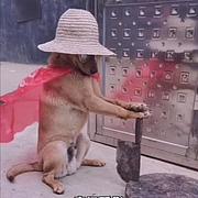 用户头像