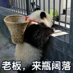 喜欢喝可乐的熊猫