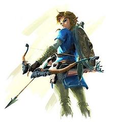 林克Link 雪球
