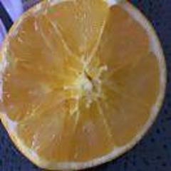 橙子tnv