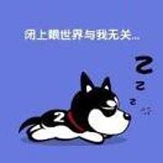用户头像
