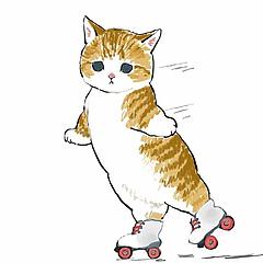 玩轮滑的猫