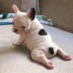 查无此人atf - 雪球