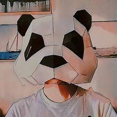 小熊猫1998