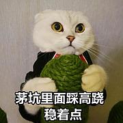 用户头像